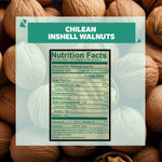 Load image into Gallery viewer, Wonderland Foods 1Kg Grandeur Premium Chilean Inshell Walnuts 36Mm Box
