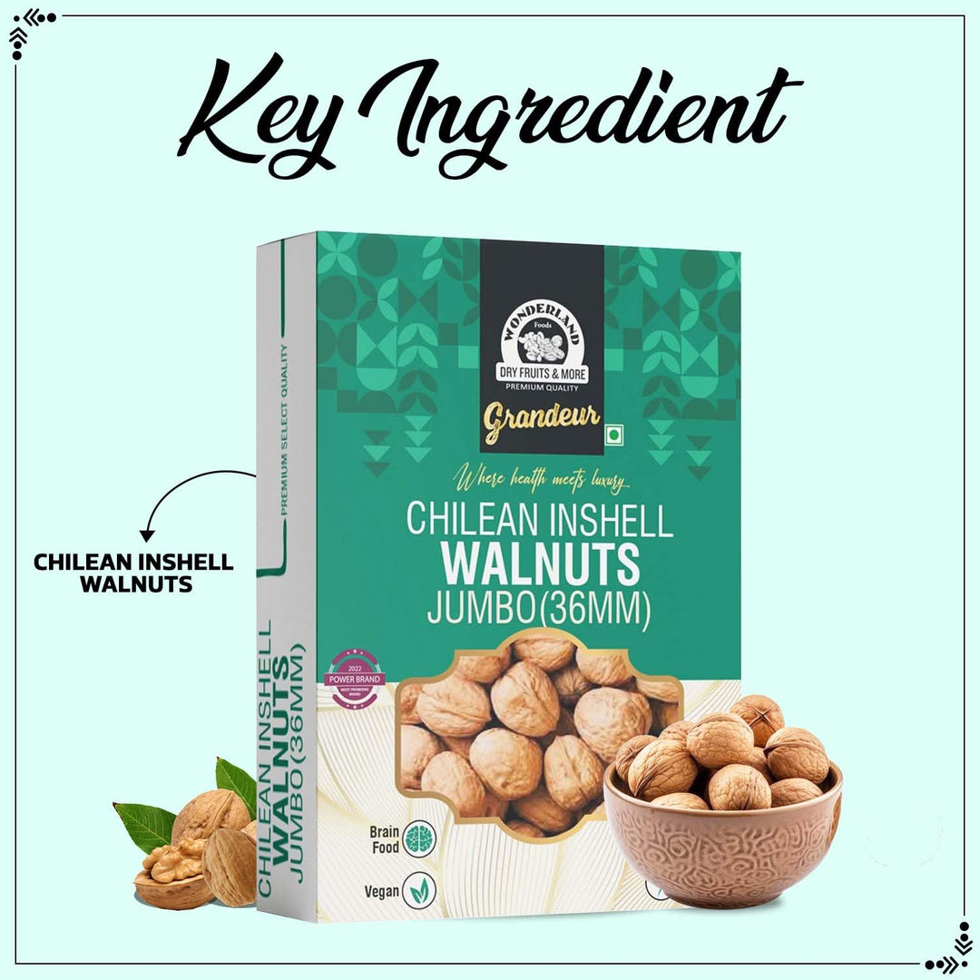 Wonderland Foods 500g Grandeur Premium Chilean Inshell Walnuts 36MM Box