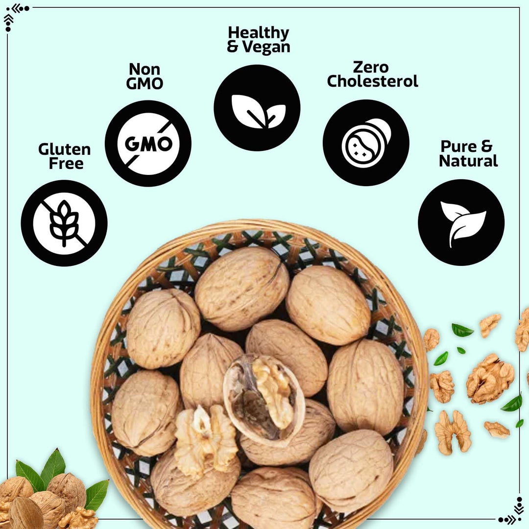 Wonderland Foods 500g Grandeur Premium Chilean Inshell Walnuts 36MM Box